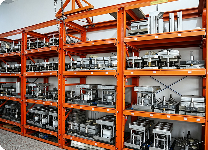 Zhejiang Bisheng Technology Co., Ltd.