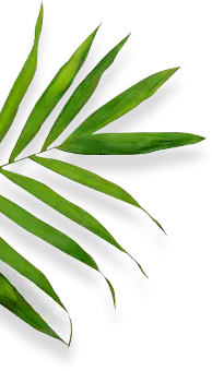 Zhejiang Bisheng Technology Co., Ltd.