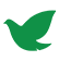 Zhejiang Bisheng Technology Co., Ltd.